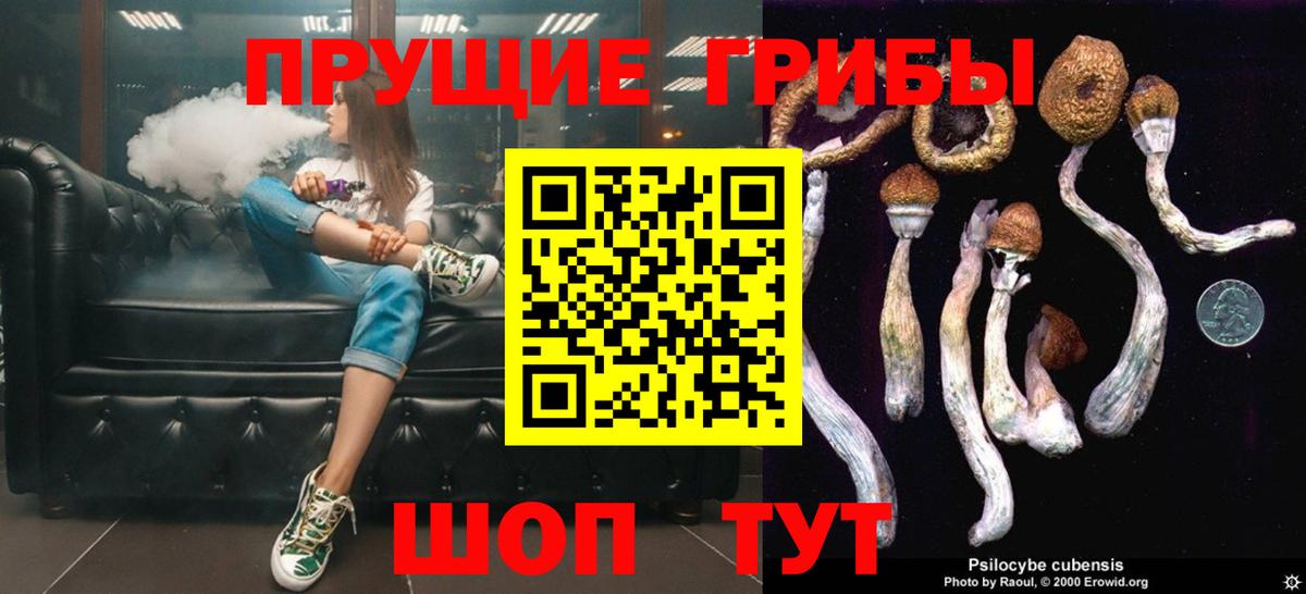 Спасск-Дальний  Галлюциногенные грибы мухоморы  Вход с VPN 